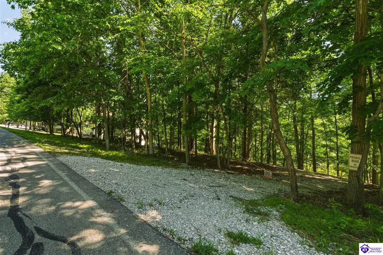 432 Long Needle Road Property Photo 80