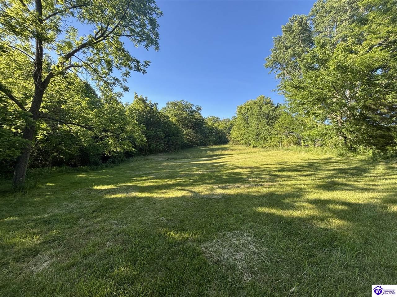 4574 Payneville Road Property Photo 2