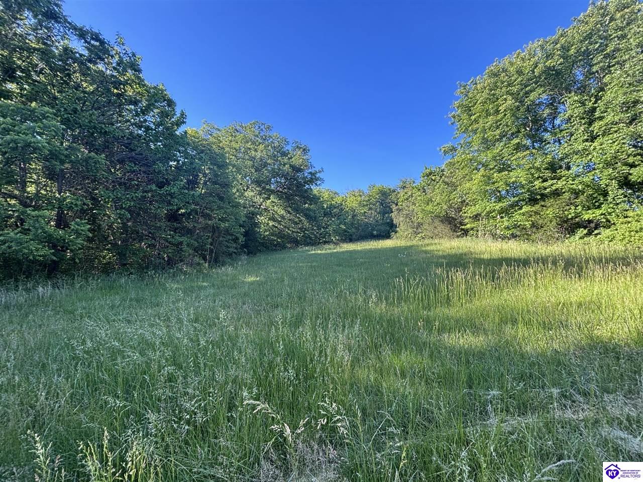 4574 Payneville Road Property Photo 3