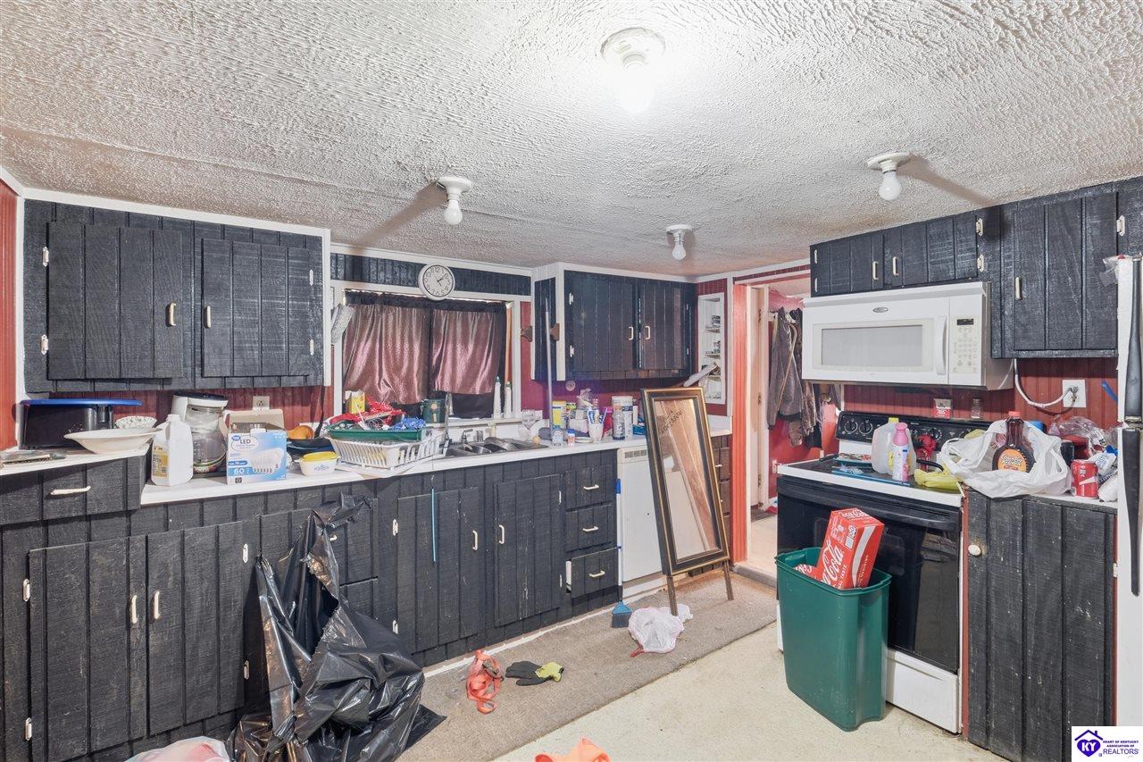 2519 East Highway 86 Property Photo 10