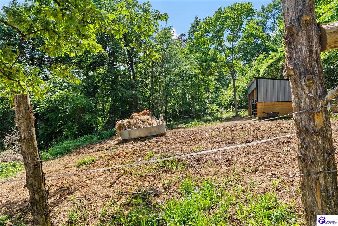 2088 Pine Ridge Road Property Photo 26