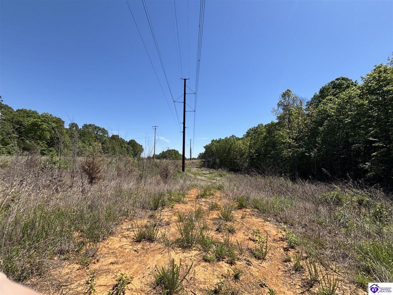 1999 Olin Road Property Photo 14