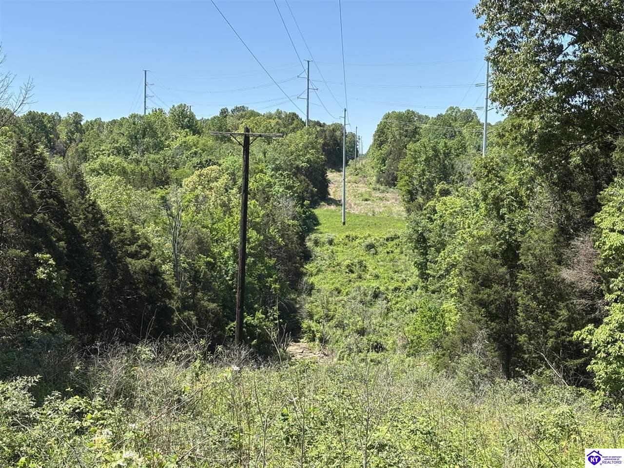 1999 Olin Road Property Photo 28