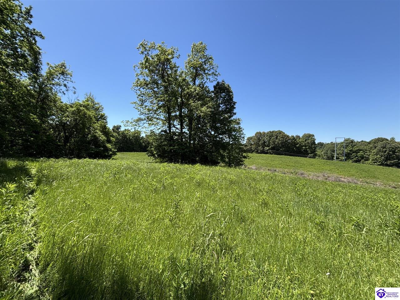 1999 Olin Road Property Photo 36