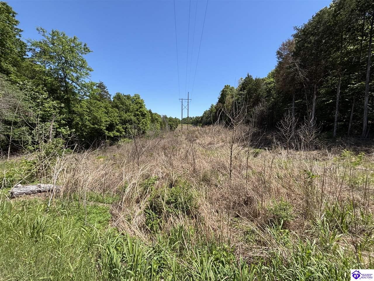 1999 Olin Road Property Photo 43