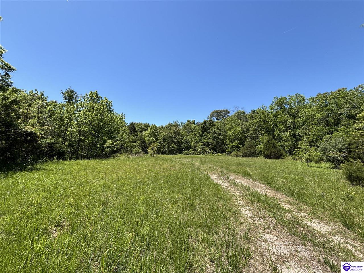 1999 Olin Road Property Photo 47