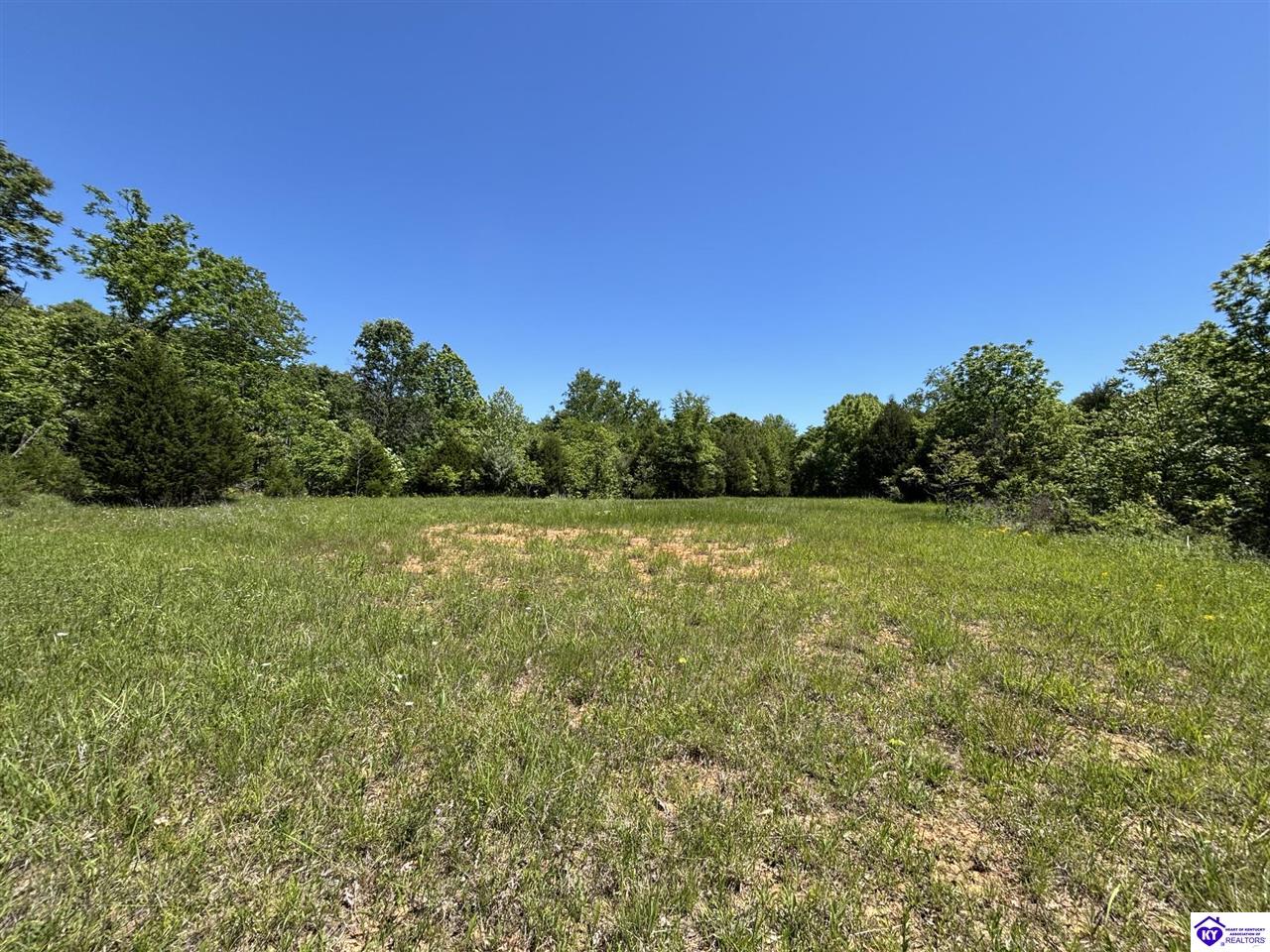 1999 Olin Road Property Photo 48