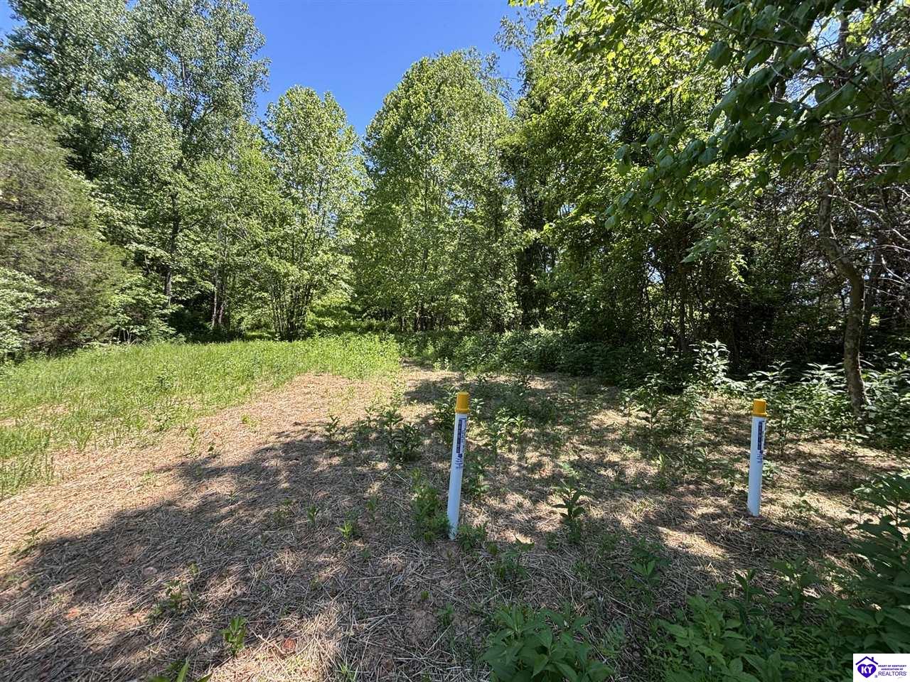 1999 Olin Road Property Photo 52