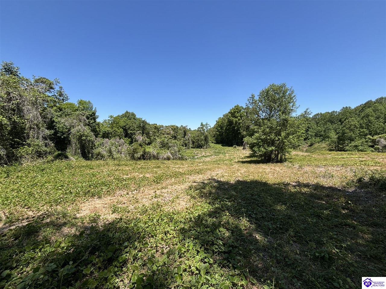 1999 Olin Road Property Photo 56