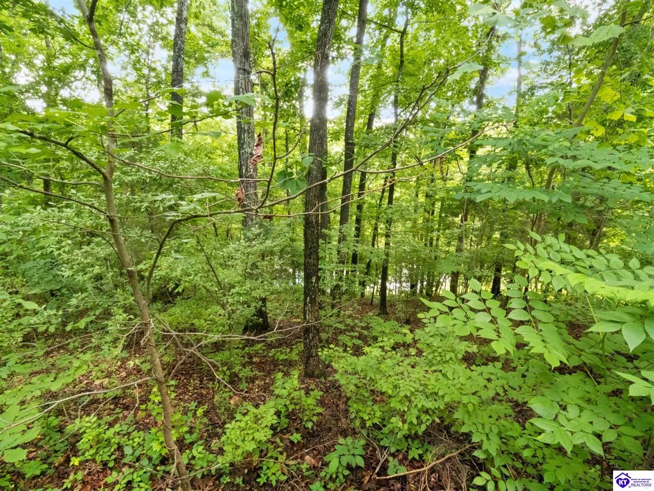 101 Hilltop Lane Property Photo 41
