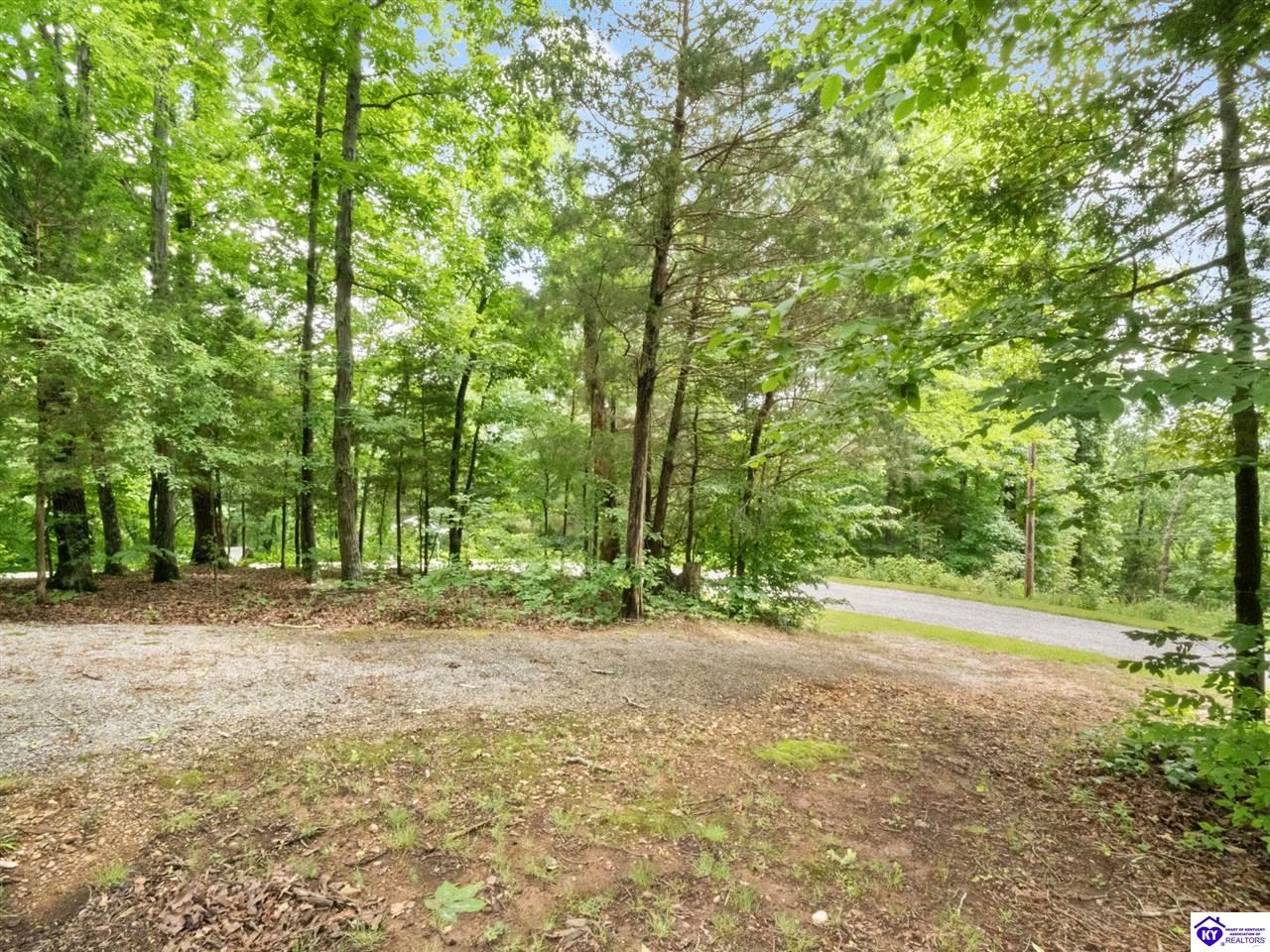 101 Hilltop Lane Property Photo 42
