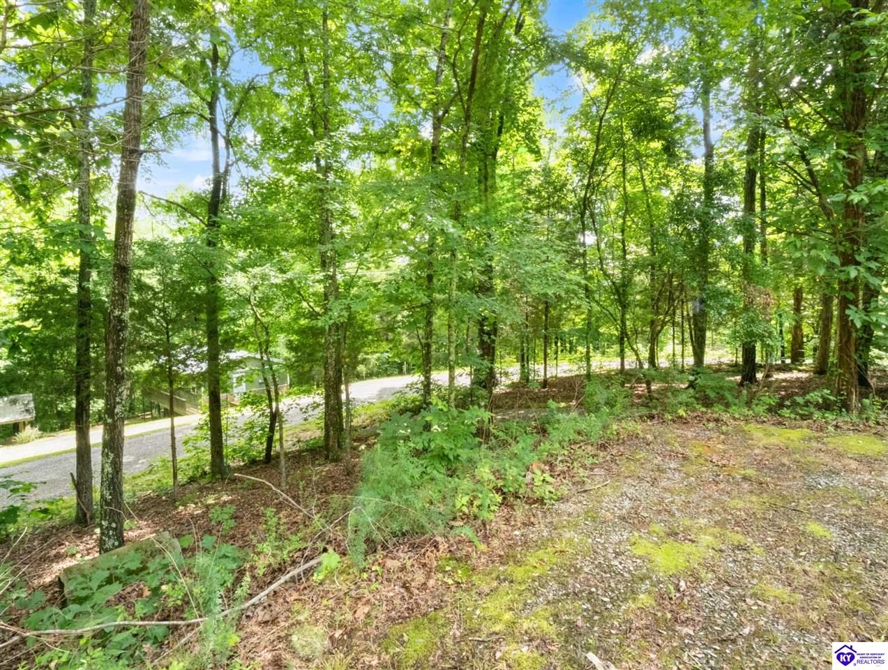 101 Hilltop Lane Property Photo 44
