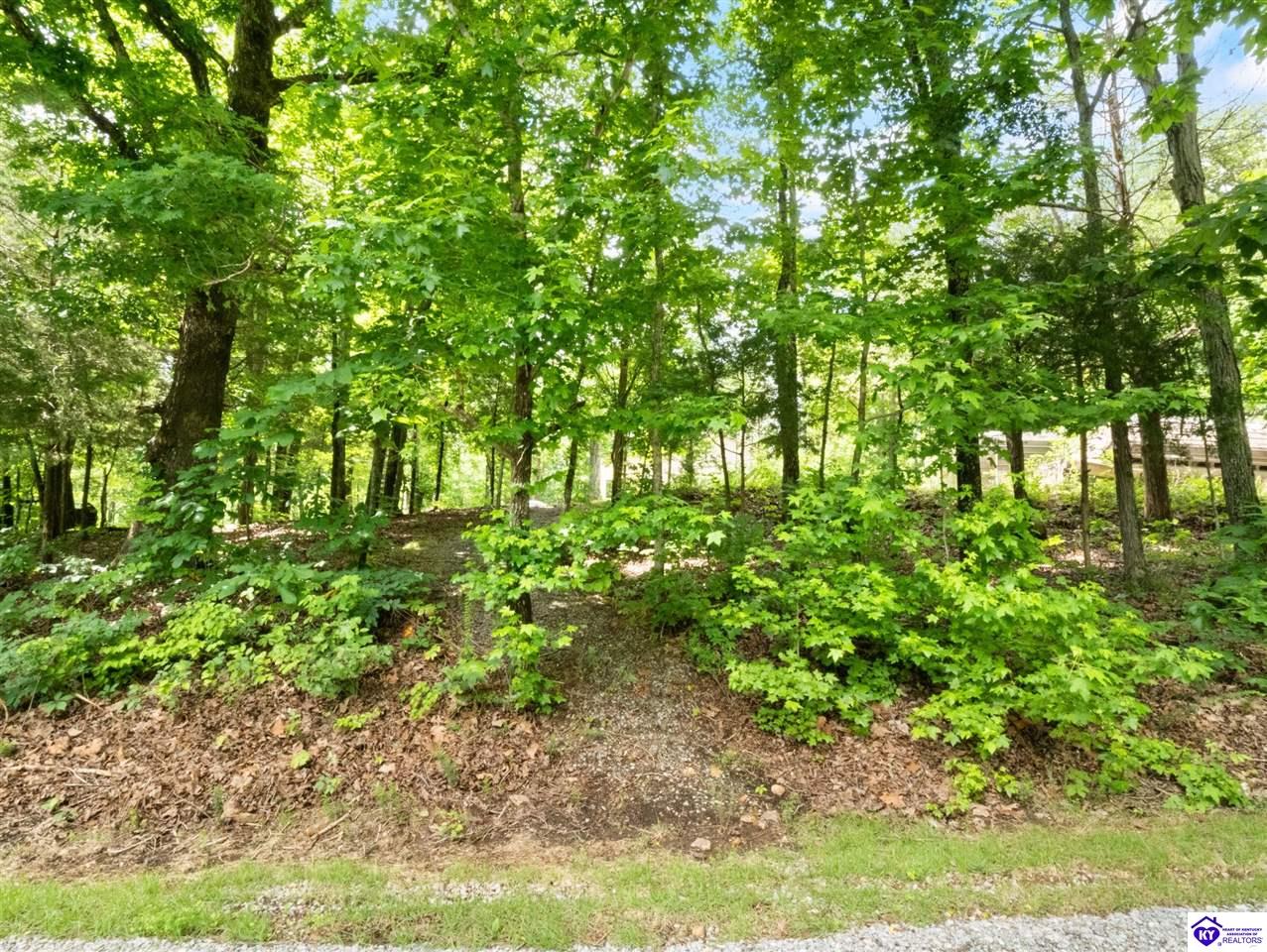 101 Hilltop Lane Property Photo 45
