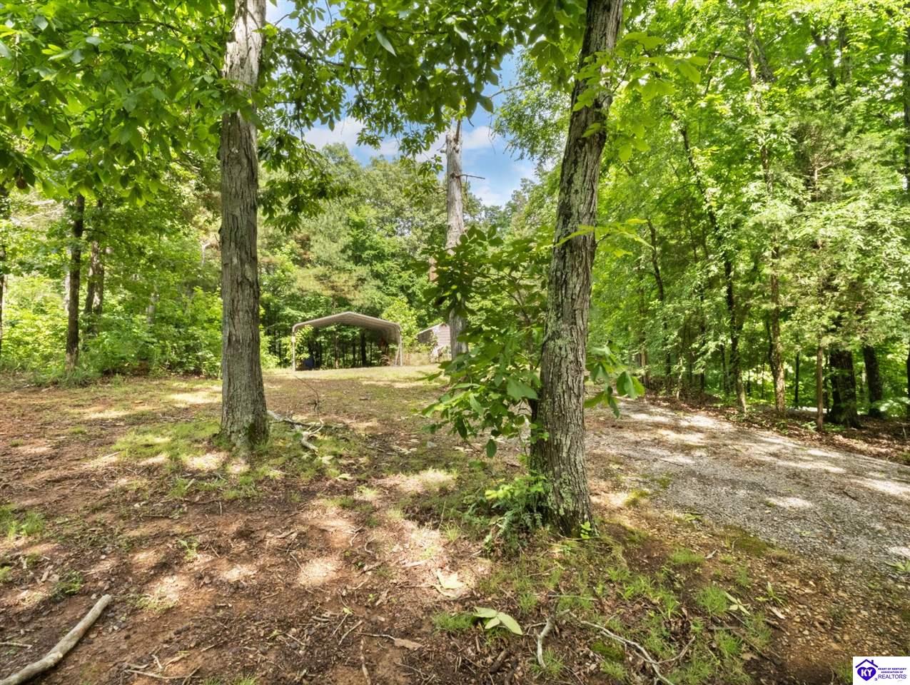 101 Hilltop Lane Property Photo 46