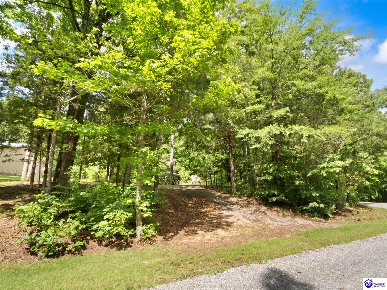 101 Hilltop Lane Property Photo 47