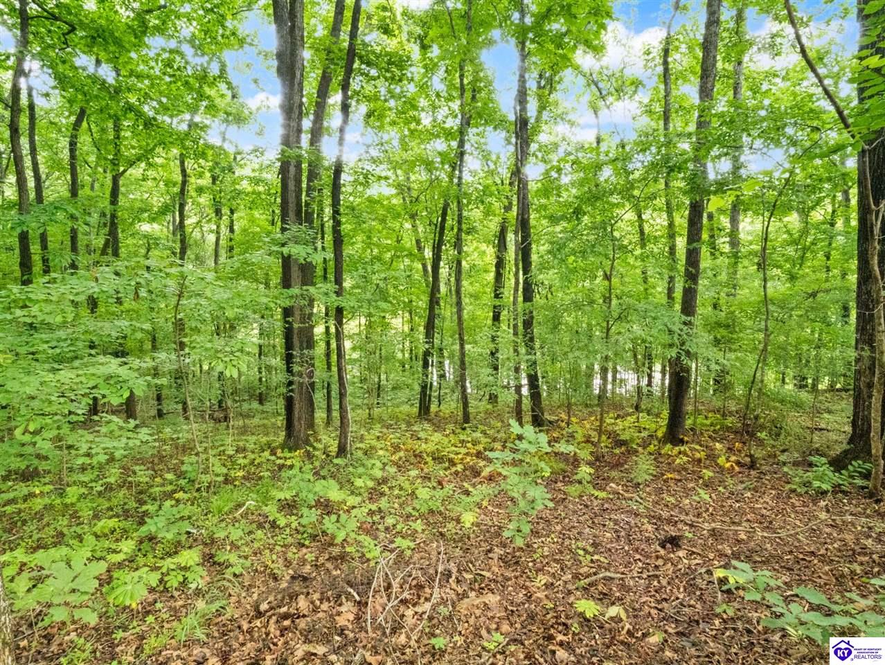 101 Hilltop Lane Property Photo 48