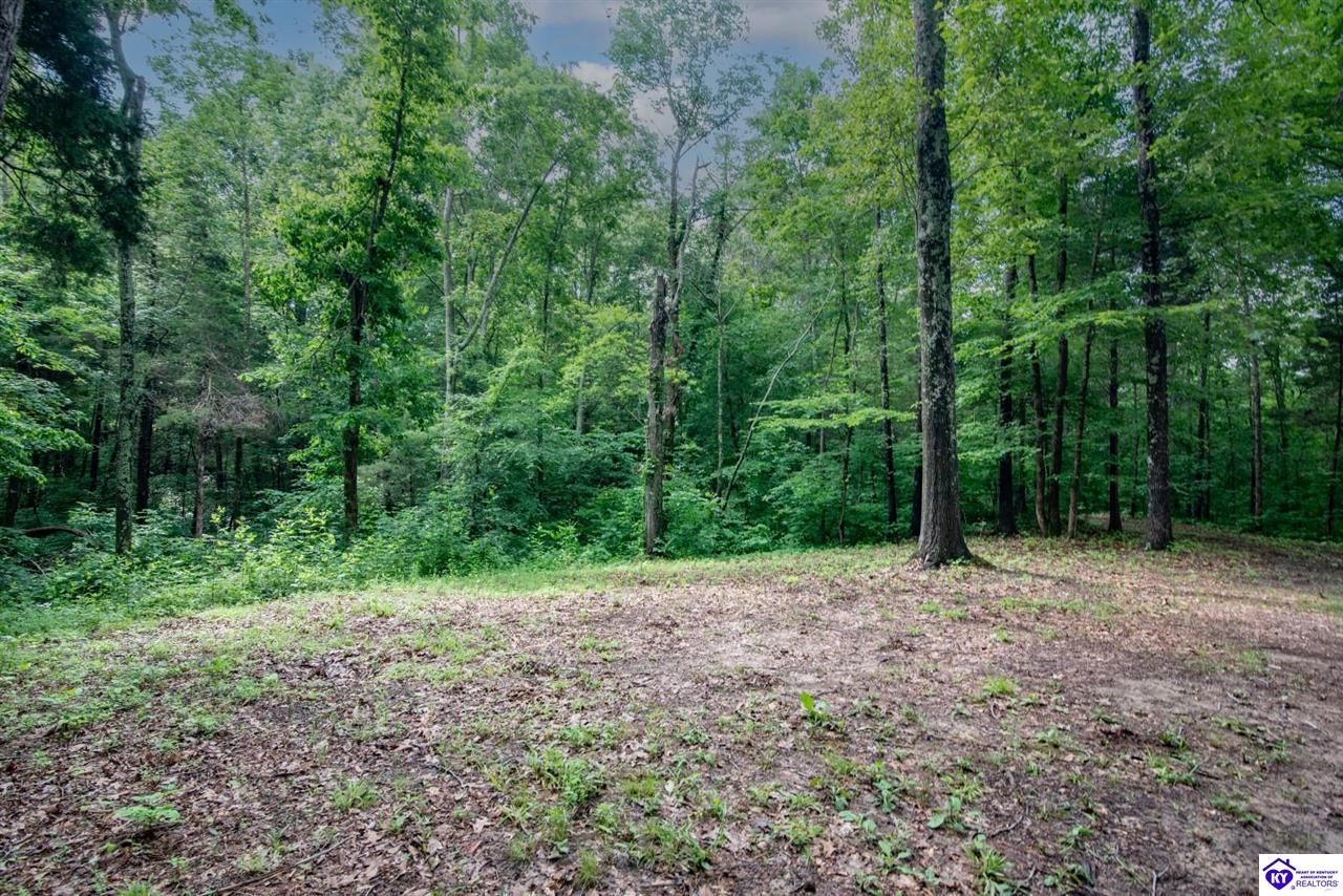 0 Mook Centerview Road Property Photo 10