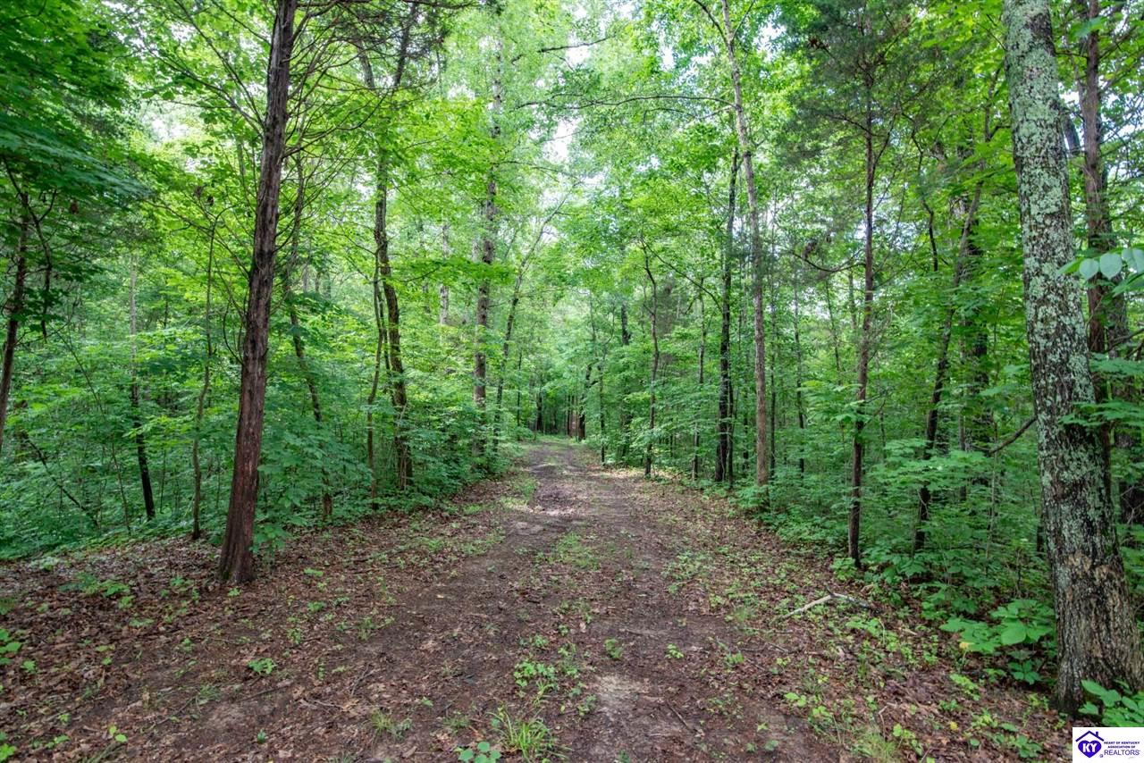 0 Mook Centerview Road Property Photo 11