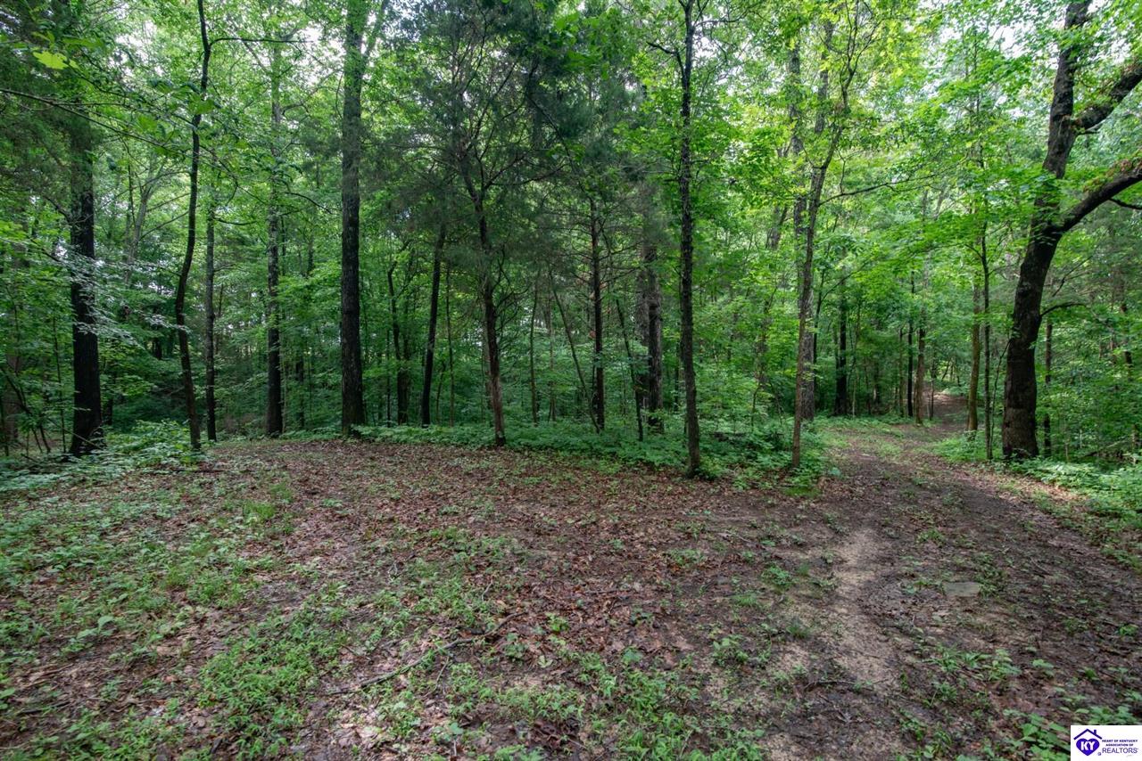 0 Mook Centerview Road Property Photo 12
