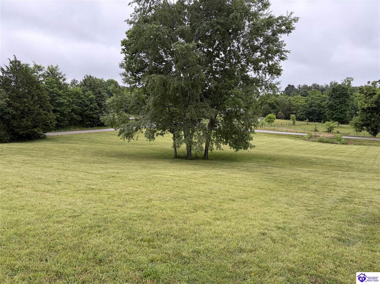 2996 Bewleyville Rosetta Road Property Photo 15