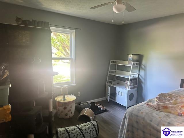 213 Bluegrass Road Property Photo 7