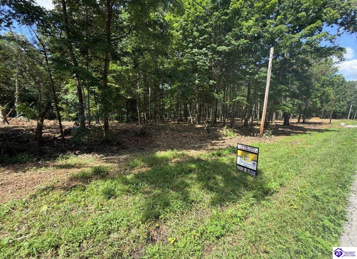 Lot 15 Redhawk Property Photo 5