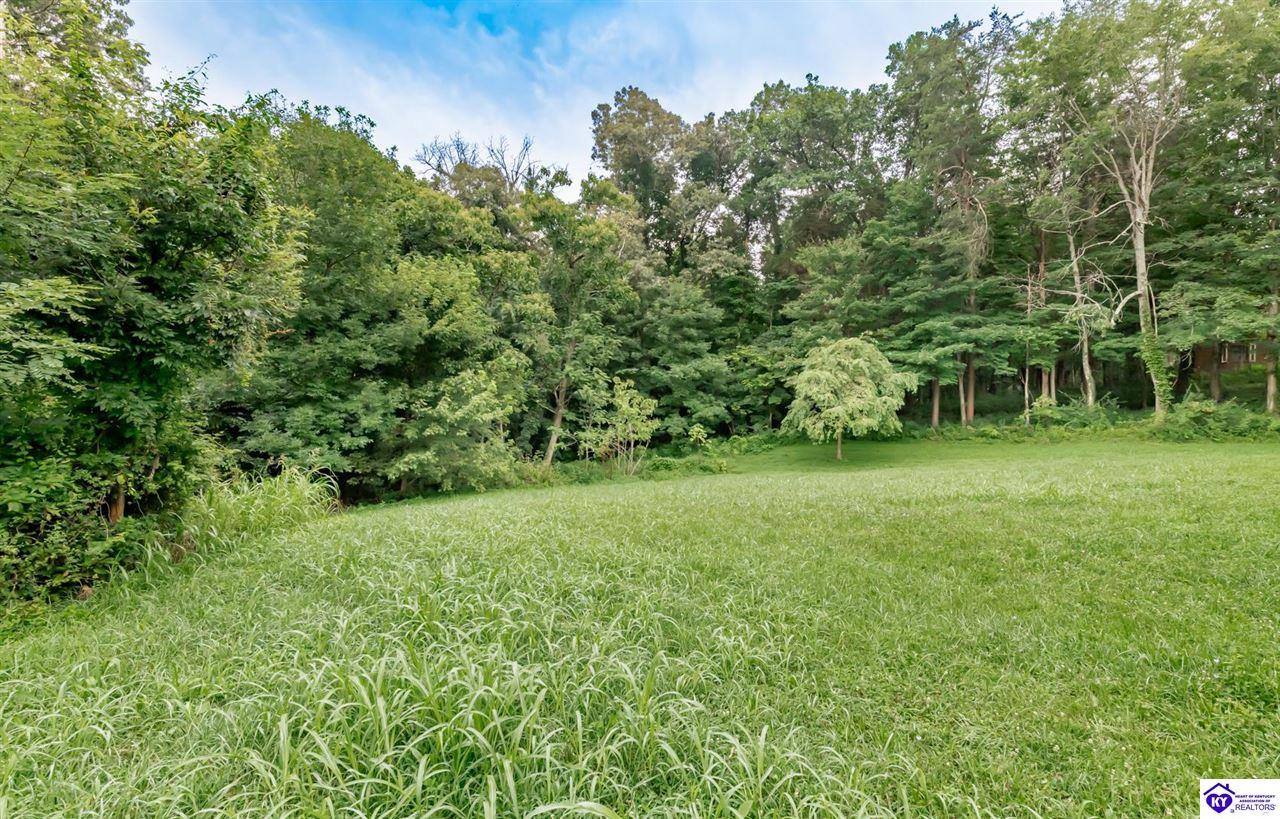 369 Meadowview Drive Property Photo 73
