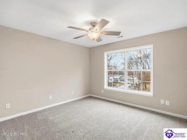 444 Hampton Road Property Photo 15