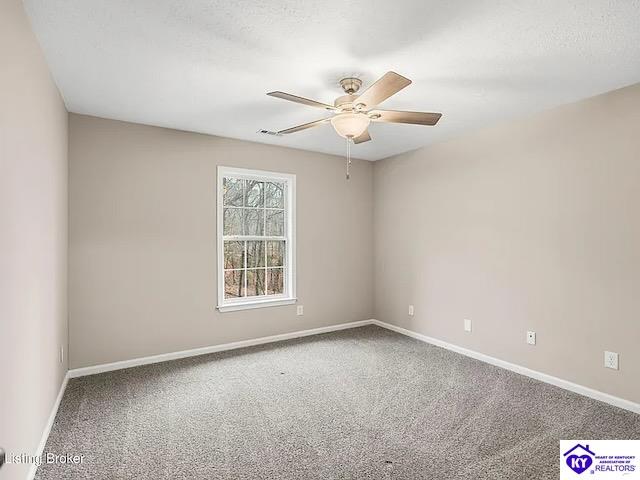 444 Hampton Road Property Photo 16