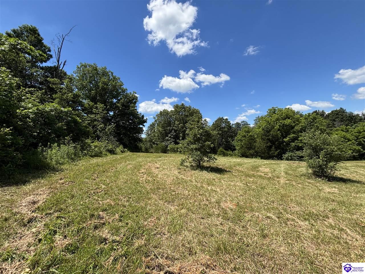 370 Olin Road Property Photo 14