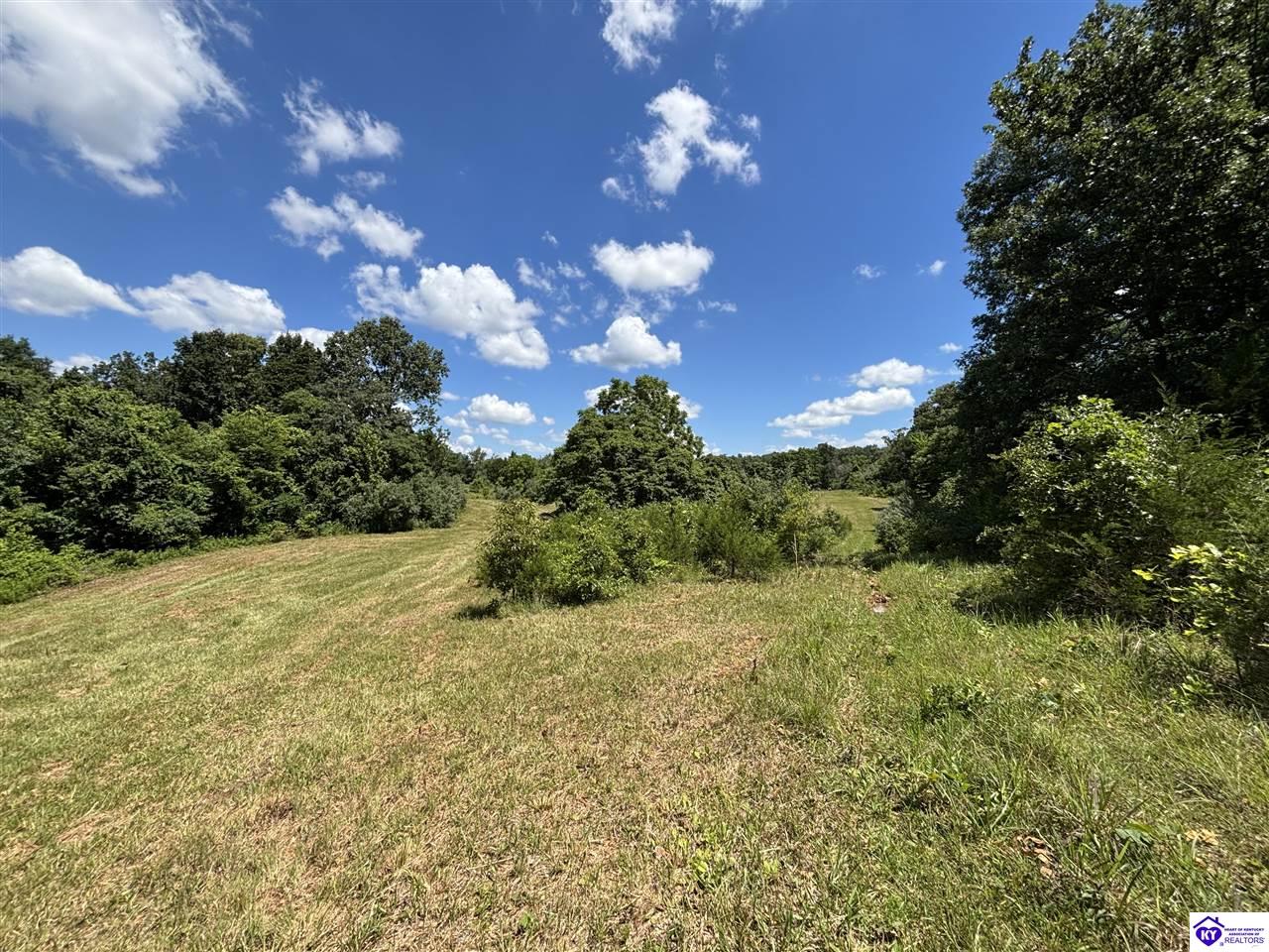 370 Olin Road Property Photo 18