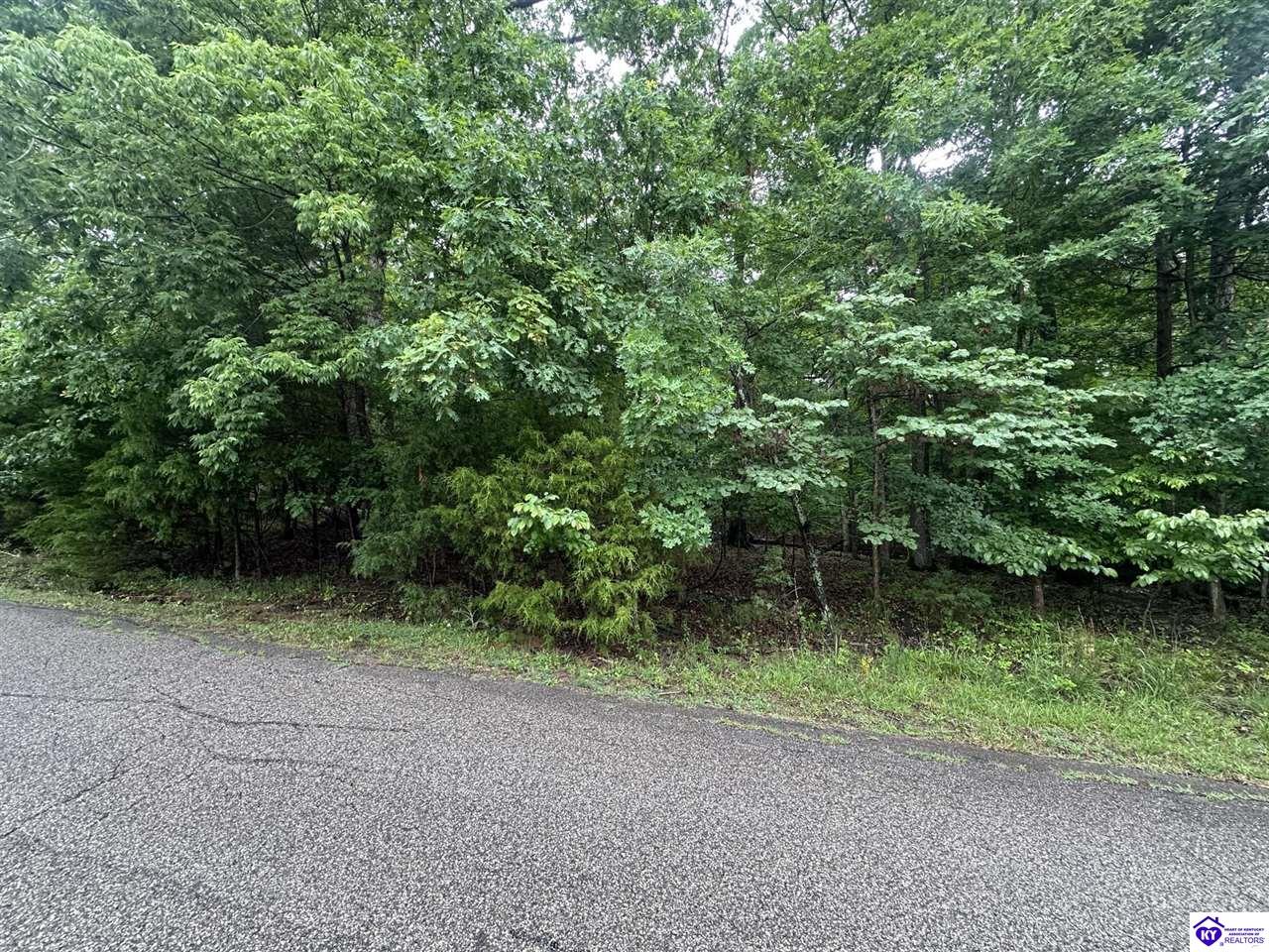 0 Red Wing Road Property Photo 2