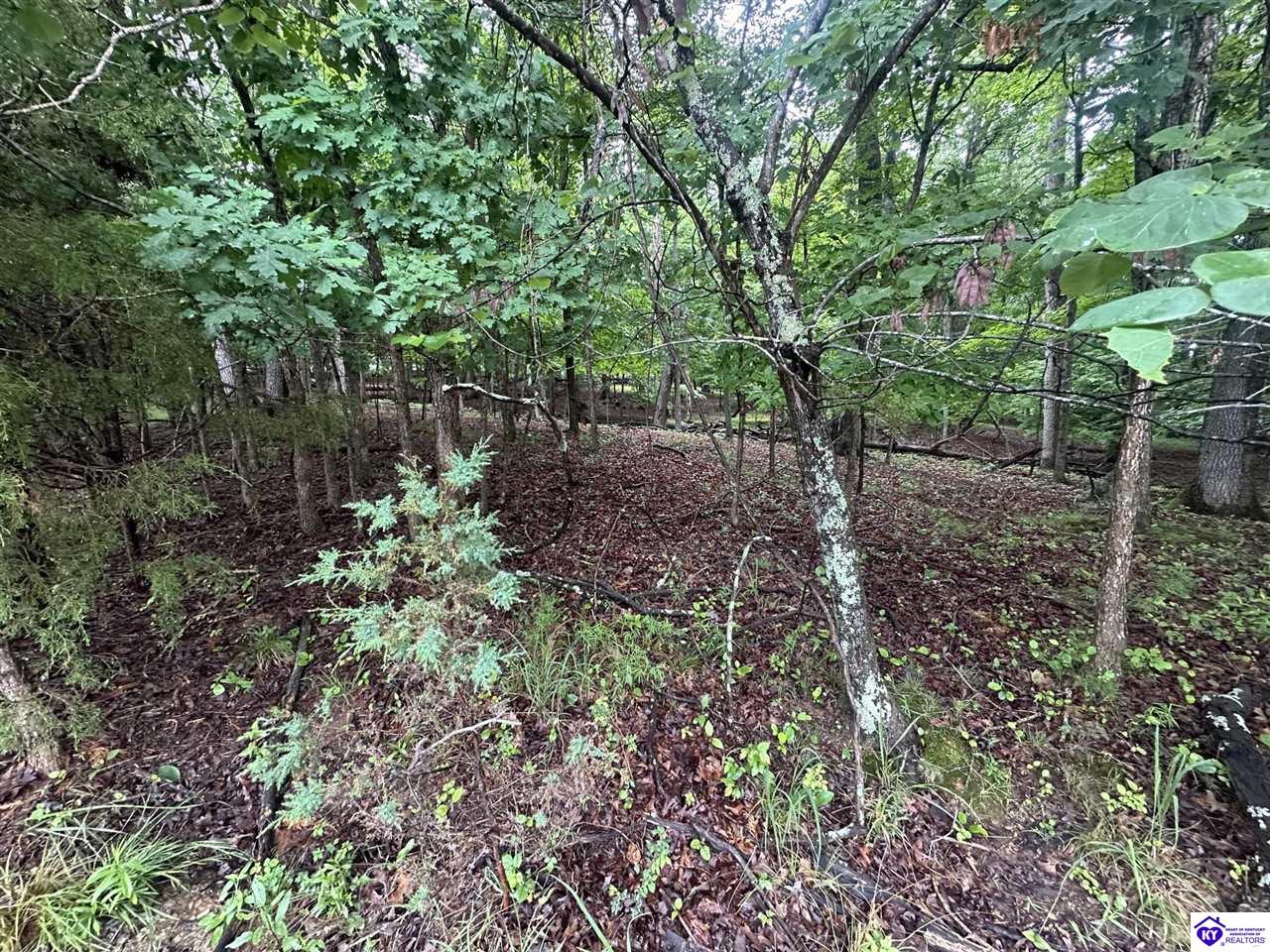 0 Red Wing Road Property Photo 3