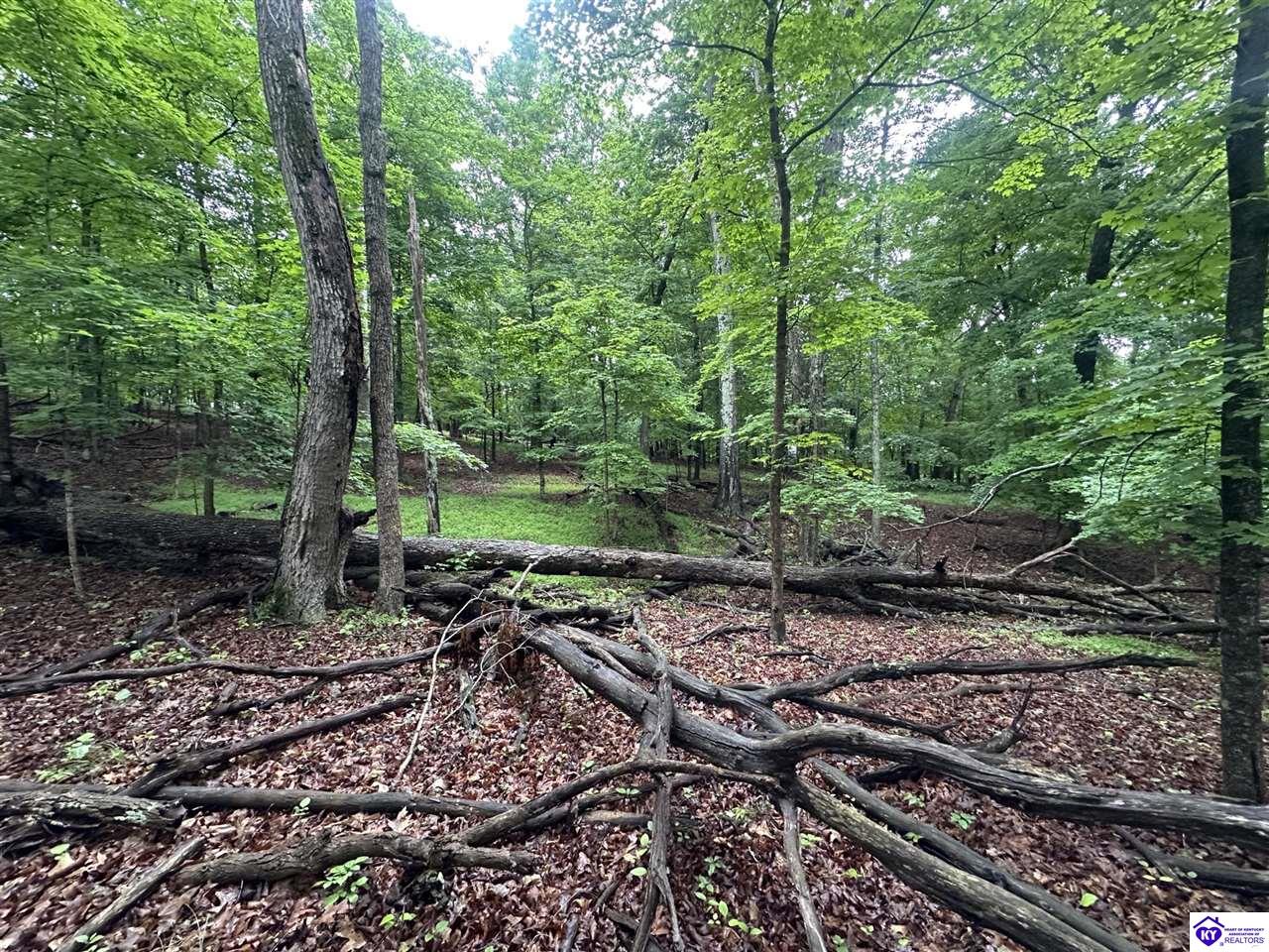 0 Red Wing Road Property Photo 4