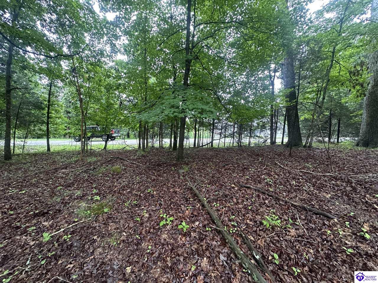 0 Red Wing Road Property Photo 5