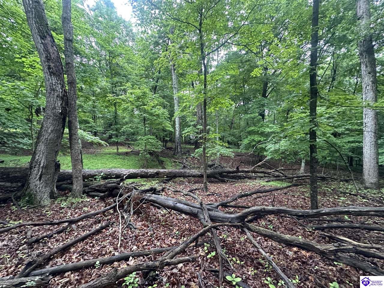 0 Red Wing Road Property Photo 6