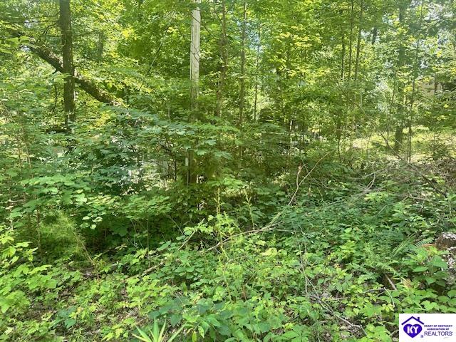 119 Mockingbird Lane Property Photo 2