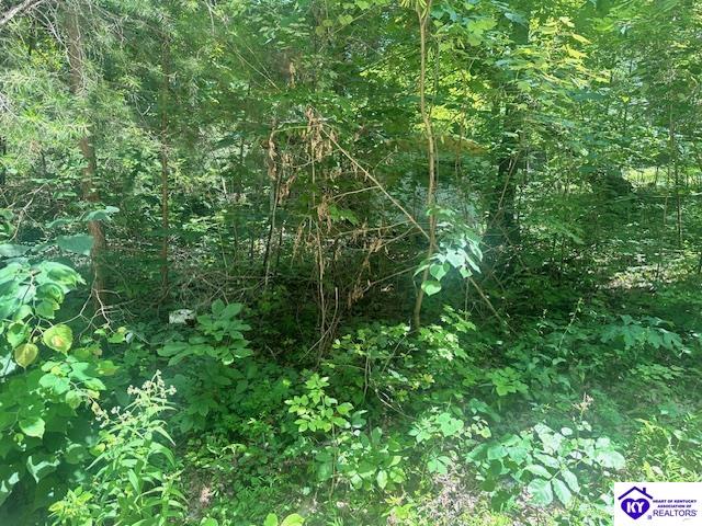 119 Mockingbird Lane Property Photo 3