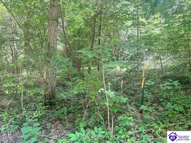119 Mockingbird Lane Property Photo 4