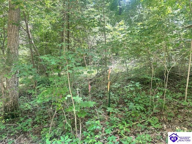 119 Mockingbird Lane Property Photo 5