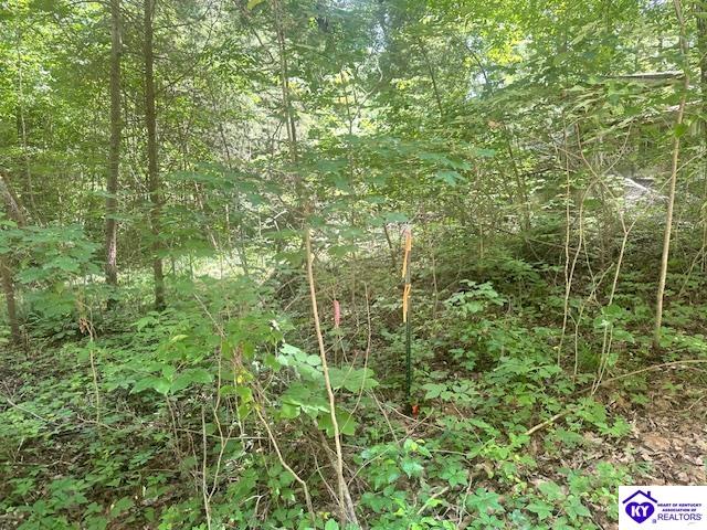 119 Mockingbird Lane Property Photo 7
