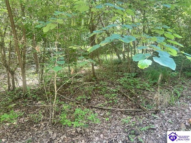 119 Mockingbird Lane Property Photo 8