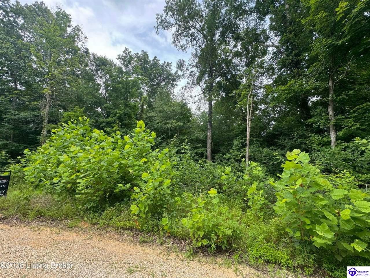 0 Ted Logsdon Road Property Photo 3
