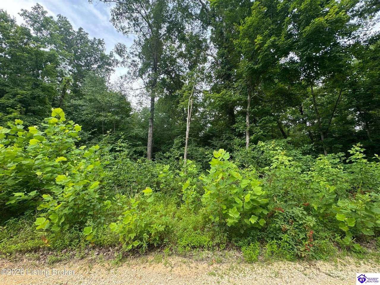 0 Ted Logsdon Road Property Photo 4