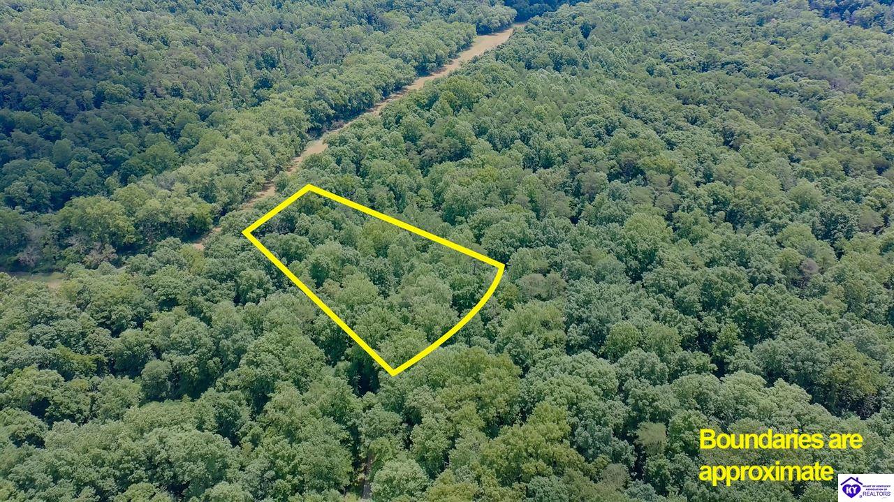 0 Ted Logsdon Road Property Photo 10