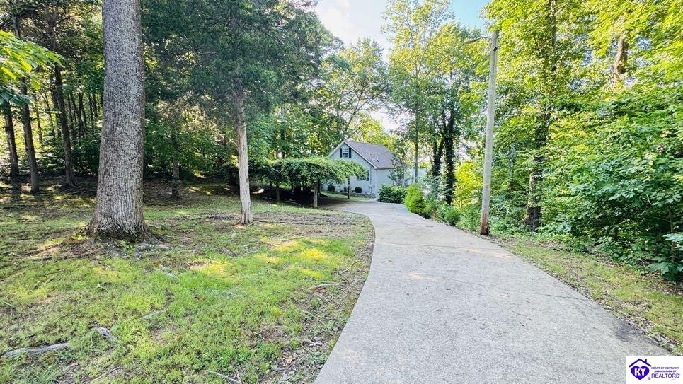 441 Paulette Way Property Photo 14