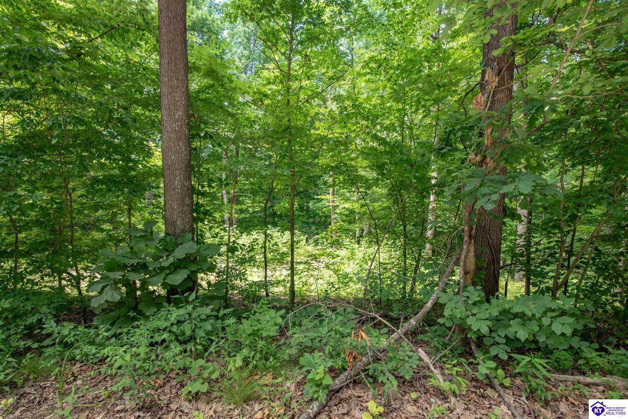 58 Fawn Hill Loop Property Photo 57