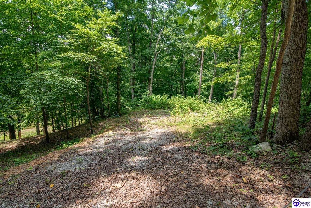 58 Fawn Hill Loop Property Photo 58