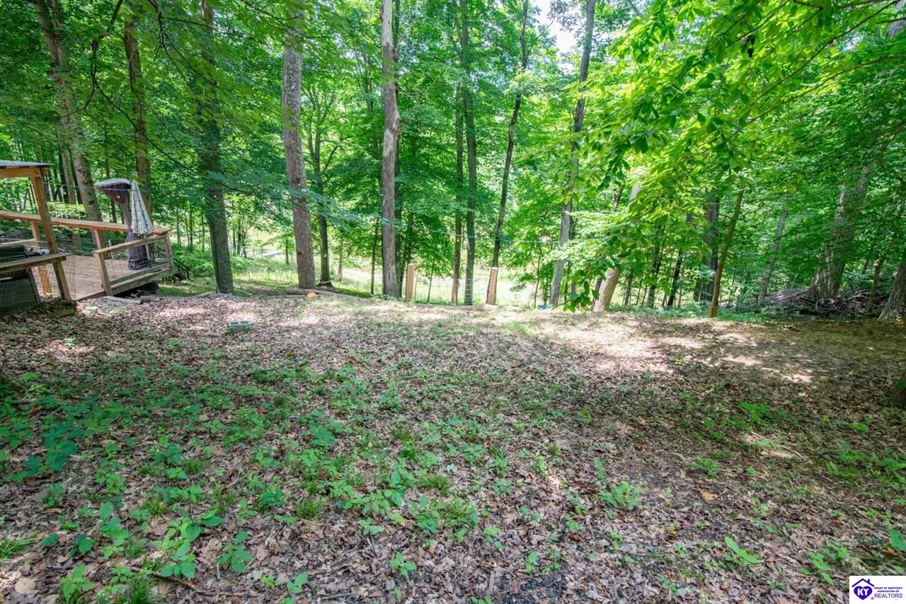 58 Fawn Hill Loop Property Photo 60