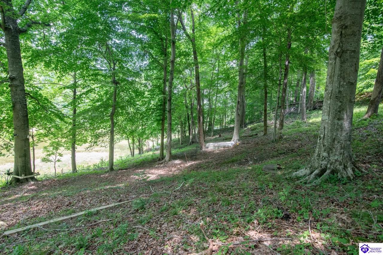 58 Fawn Hill Loop Property Photo 62